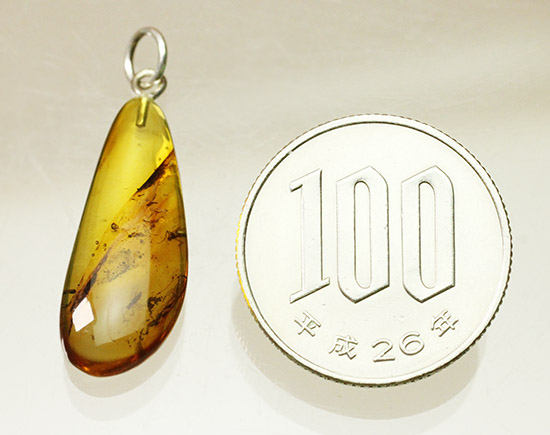 類人猿さえも誕生していない時代の虫を内包したバルト海産のペンダントトップ(シルバーチェーン付き)(その14)