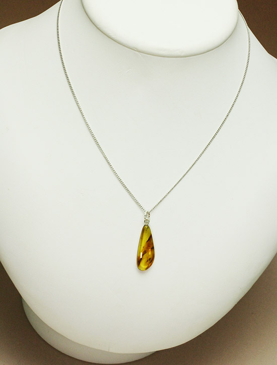 類人猿さえも誕生していない時代の虫を内包したバルト海産のペンダントトップ(シルバーチェーン付き)(その2)