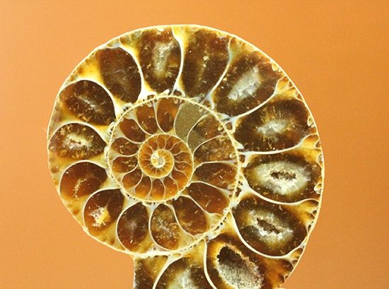 1478414719_6.jpg