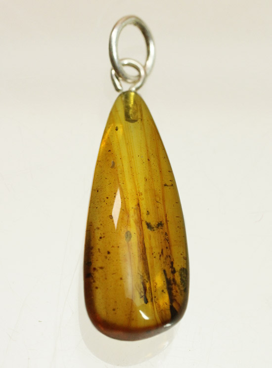 樹液に絡め取られた羽虫が内包！バルト海産の虫入り琥珀ペンダント