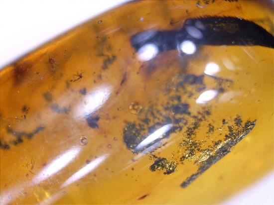 樹液に絡め取られた羽虫が内包!バルト海産の虫入り琥珀ペンダントトップ(シルバーチェーン付き)(その13)