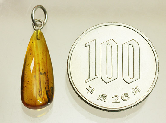 樹液に絡め取られた羽虫が内包!バルト海産の虫入り琥珀ペンダントトップ(シルバーチェーン付き)(その15)