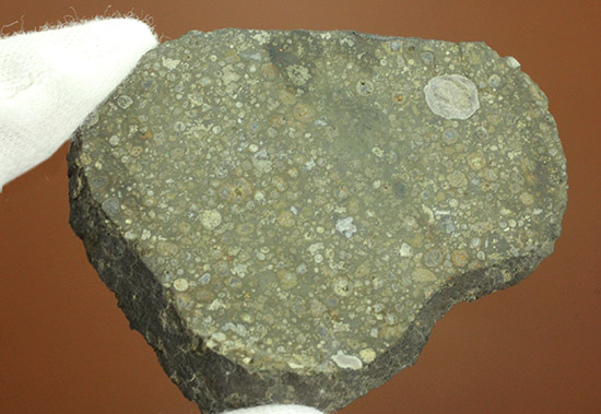 これぞロマンの塊！太陽系最古の物質でもある、アエンデ隕石のスライス標本。（その10）