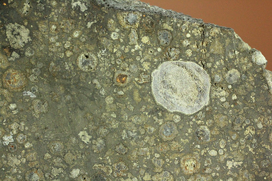 これぞロマンの塊！太陽系最古の物質でもある、アエンデ隕石のスライス標本。（その11）