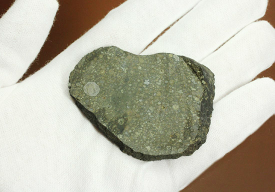 これぞロマンの塊！太陽系最古の物質でもある、アエンデ隕石のスライス標本。（その13）