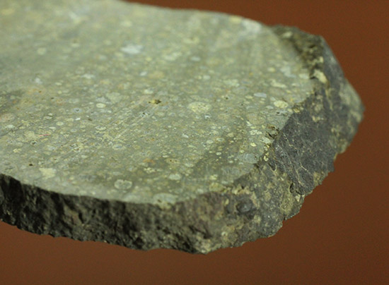 これぞロマンの塊！太陽系最古の物質でもある、アエンデ隕石のスライス標本。（その15）