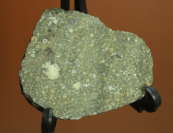 これぞロマンの塊！太陽系最古の物質でもある、アエンデ隕石のスライス標本。（その16）