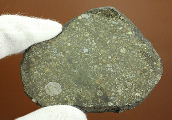 これぞロマンの塊！太陽系最古の物質でもある、アエンデ隕石のスライス標本。（その6）