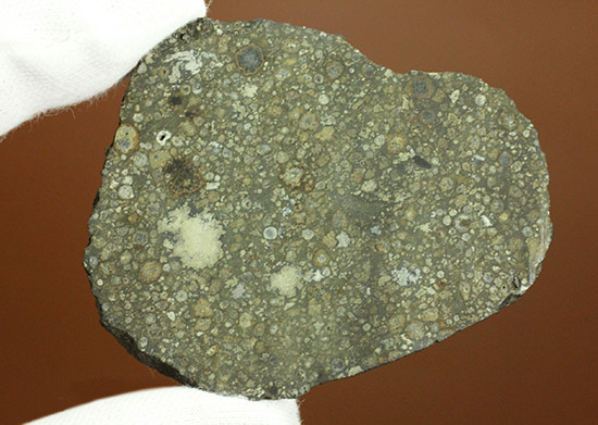 これぞロマンの塊！太陽系最古の物質でもある、アエンデ隕石のスライス標本。（その9）