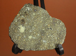 これぞロマンの塊！太陽系最古の物質でもある、アエンデ隕石のスライス標本。
