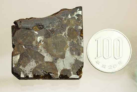 あのパラサイト隕石をこのプライスで！1810年ベラルーシに落下した石鉄隕石パラサイト。 隕石 販売