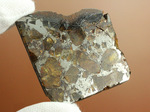 あのパラサイト隕石をこのプライスで！1810年ベラルーシに落下した石鉄隕石パラサイト。