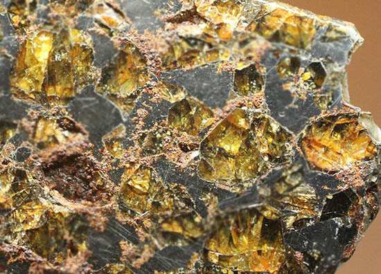 希少な石鉄隕石、パラサイト。ブラヒン隕石。（その12）