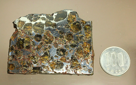 希少な石鉄隕石、パラサイト。ブラヒン隕石。（その15）