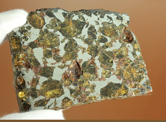 希少な石鉄隕石、パラサイト。ブラヒン隕石。（その3）