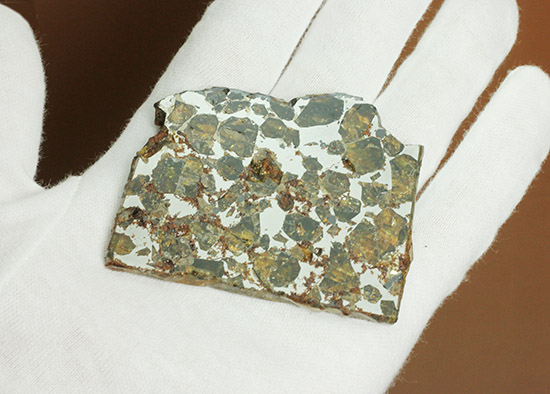 希少な石鉄隕石、パラサイト。ブラヒン隕石。（その6）
