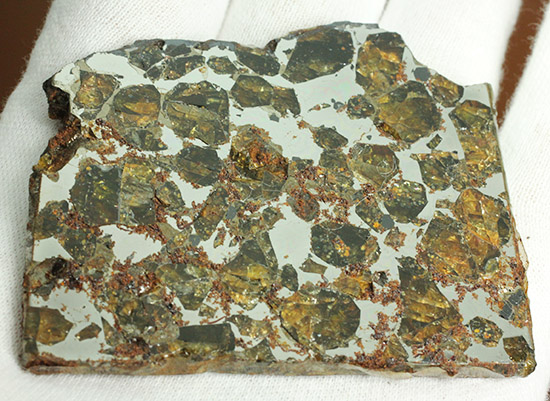 希少な石鉄隕石、パラサイト。ブラヒン隕石。（その7）