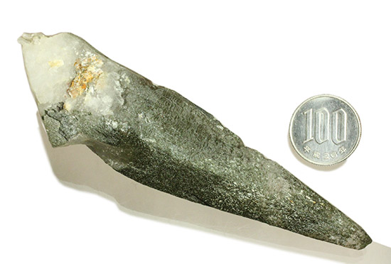 常人では分け入ることができないヒマラヤ山脈の高地で採集されたガネッシュヒマール産ヒマラヤ水晶（その13）