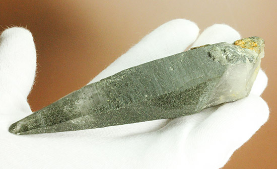 常人では分け入ることができないヒマラヤ山脈の高地で採集されたガネッシュヒマール産ヒマラヤ水晶（その7）