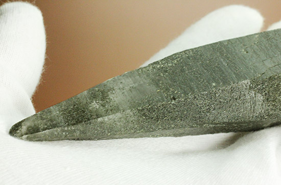 常人では分け入ることができないヒマラヤ山脈の高地で採集されたガネッシュヒマール産ヒマラヤ水晶（その8）