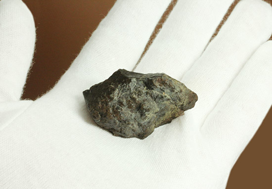 隕石コレクションを始めませんか?地球型惑星の地殻やマントルが起源とされるコンドライトL6 2002年発見のJiddat al Harasis 073(その5)