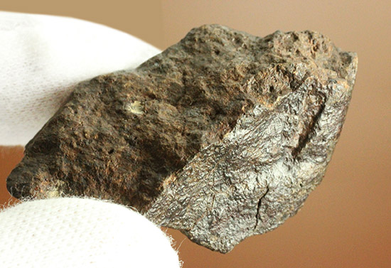 隕石コレクションを始めませんか？地球型惑星の地殻やマントルが起源とされるコンドライトL6　2002年発見のJiddat al Harasis 073（その7）
