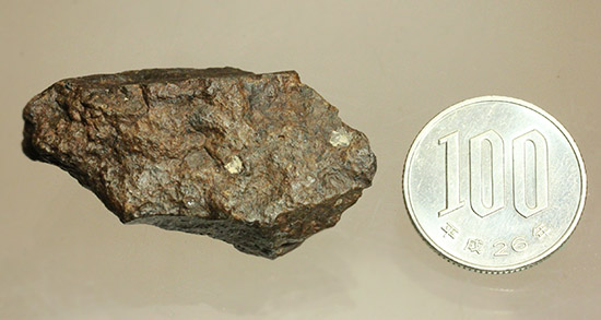 隕石コレクションを始めませんか？地球型惑星の地殻やマントルが起源とされるコンドライトL6　2002年発見のJiddat al Harasis 073（その9）