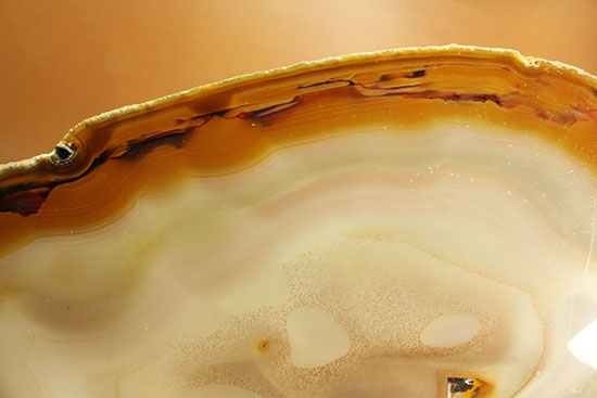 ３０センチ超７００グラムオーバー！ブラウン調の優美な縞グラデーションが見られる大判メノウスライス標本(Agate)（その12）