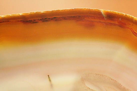 ３０センチ超７００グラムオーバー！ブラウン調の優美な縞グラデーションが見られる大判メノウスライス標本(Agate)（その14）