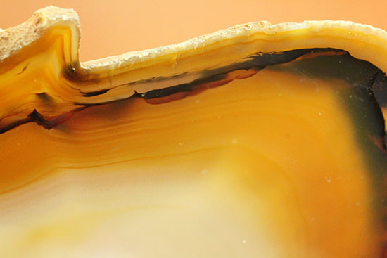 ３０センチ超７００グラムオーバー！ブラウン調の優美な縞グラデーションが見られる大判メノウスライス標本(Agate)（その15）