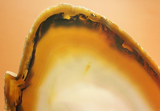 ３０センチ超７００グラムオーバー！ブラウン調の優美な縞グラデーションが見られる大判メノウスライス標本(Agate)（その16）