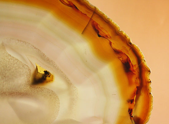 ３０センチ超７００グラムオーバー！ブラウン調の優美な縞グラデーションが見られる大判メノウスライス標本(Agate)（その18）