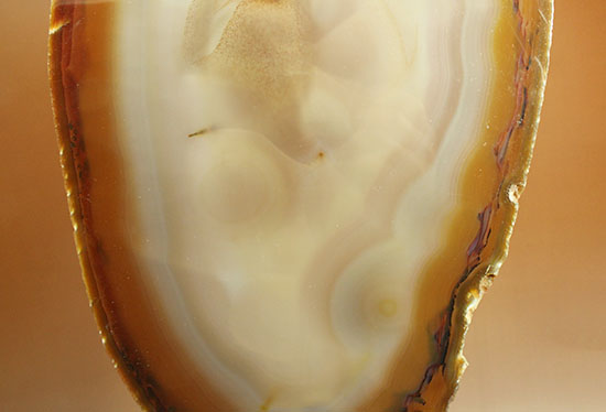 ３０センチ超７００グラムオーバー！ブラウン調の優美な縞グラデーションが見られる大判メノウスライス標本(Agate)（その7）