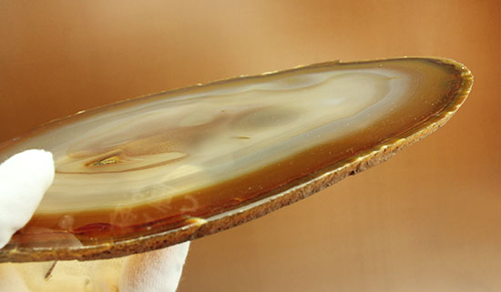 ３０センチ超７００グラムオーバー！ブラウン調の優美な縞グラデーションが見られる大判メノウスライス標本(Agate)（その9）