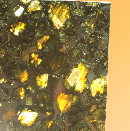 ベストクオリティ！イエロー・グリーンのカンラン石を含むパラサイト隕石のスライス。セイムチャン隕石（高級保存ケース付）（その11）