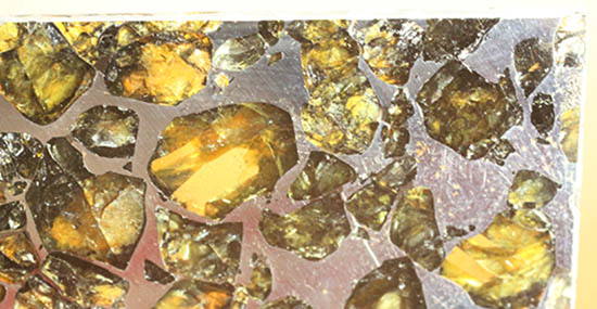 ベストクオリティ！イエロー・グリーンのカンラン石を含むパラサイト隕石のスライス。セイムチャン隕石（高級保存ケース付）（その12）
