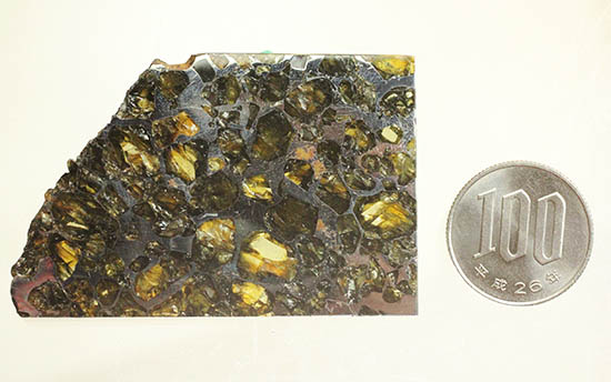 ベストクオリティ！イエロー・グリーンのカンラン石を含むパラサイト隕石のスライス。セイムチャン隕石（高級保存ケース付）（その14）