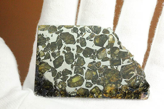 ベストクオリティ！イエロー・グリーンのカンラン石を含むパラサイト隕石のスライス。セイムチャン隕石（高級保存ケース付）（その4）