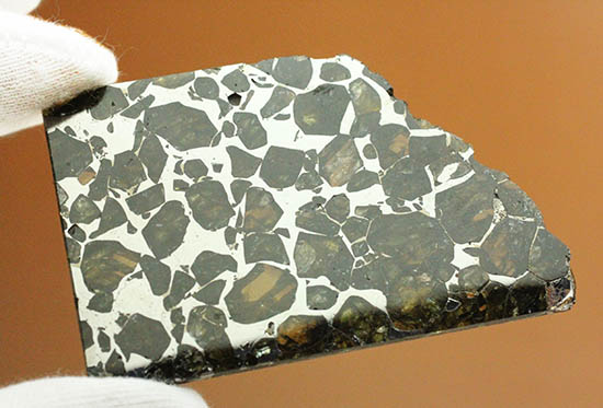ベストクオリティ！イエロー・グリーンのカンラン石を含むパラサイト隕石のスライス。セイムチャン隕石（高級保存ケース付）（その5）