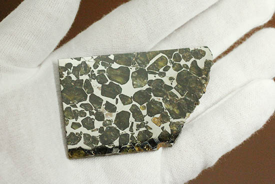 ベストクオリティ！イエロー・グリーンのカンラン石を含むパラサイト隕石のスライス。セイムチャン隕石（高級保存ケース付）（その8）