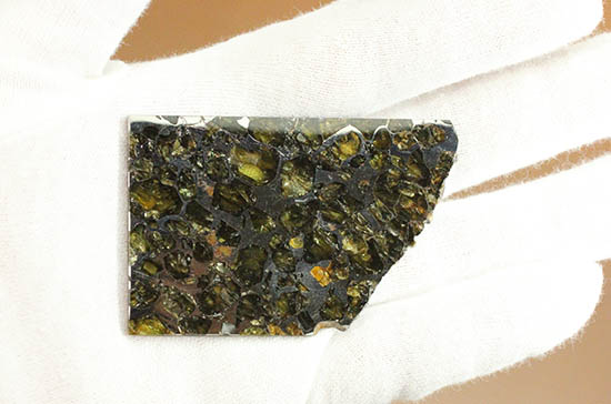 ベストクオリティ！イエロー・グリーンのカンラン石を含むパラサイト隕石のスライス。セイムチャン隕石（高級保存ケース付）（その9）