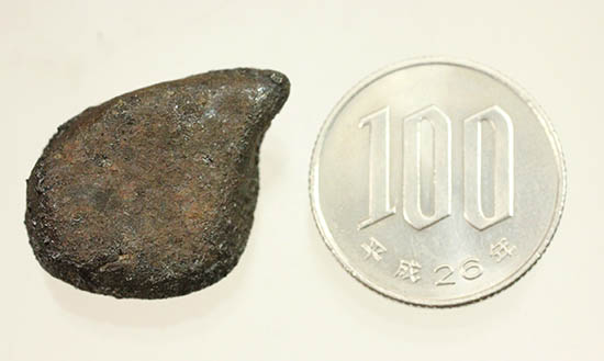 4年前の冬に世界中のニュースをかっさらったチェリャビンスク隕石。2013年2月15日落下（高級保存ケース付）（その12）