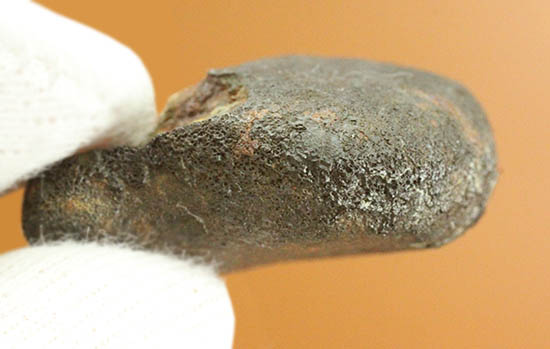 4年前の冬に世界中のニュースをかっさらったチェリャビンスク隕石。2013年2月15日落下（高級保存ケース付）（その9）
