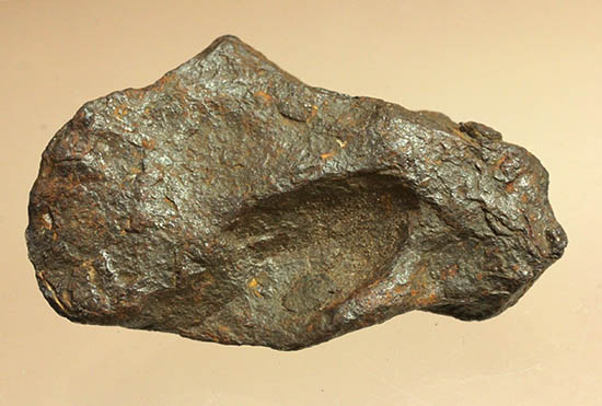 手に入れやすい価格！鉄隕石。キャニオンディアブロ隕石(Canyon Diablo)（その2）