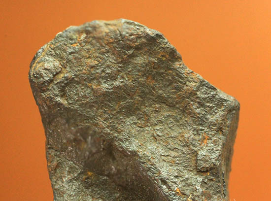 手に入れやすい価格！鉄隕石。キャニオンディアブロ隕石(Canyon Diablo)（その6）