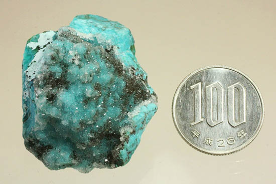 鮮やかなグリーンのきらめく結晶体。ペルー産、珪孔雀石こと、クリソコラ。（その10）