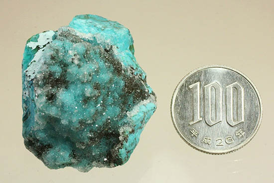 鮮やかなグリーンのきらめく結晶体。ペルー産、珪孔雀石こと、クリソコラ。(その10)