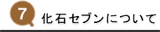 化石セブンについて