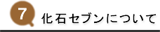 化石セブンについて