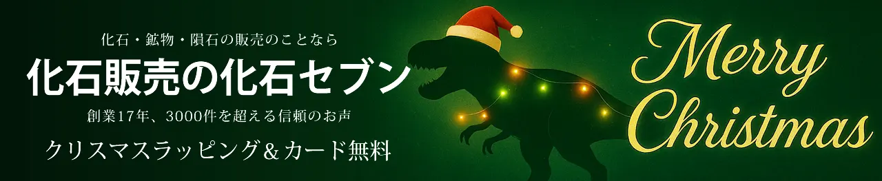 化石販売の化石セブン